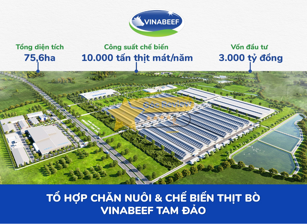 Dự án chiến lược Tổ hợp chăn nuôi & chế biến thịt bò Vinabeef Tam Đảo