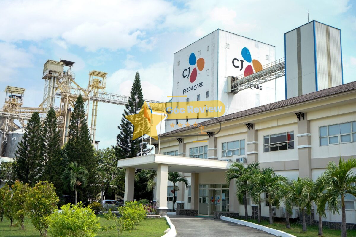 Lịch sử hình thành và phát triển Công Ty Tnhh Cj Vina Agri