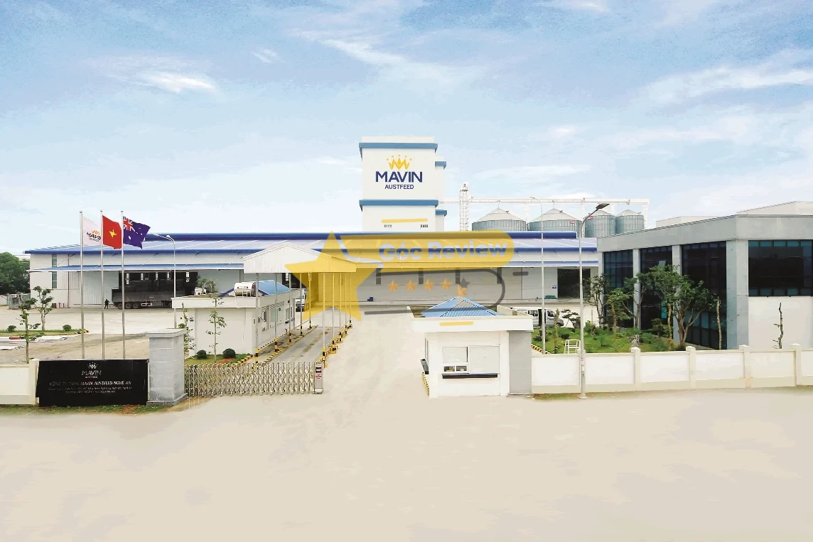 Mavin Austfeed - Tổng quan