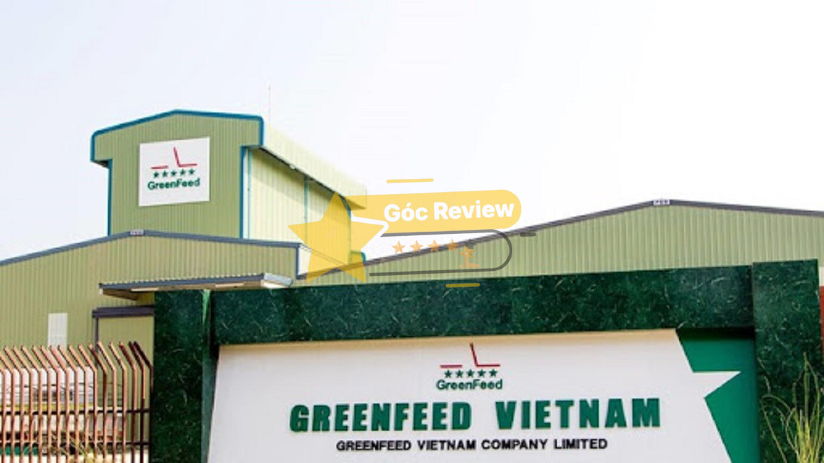 Tổng quan về Công Ty Cổ Phần Greenfeed Việt Nam