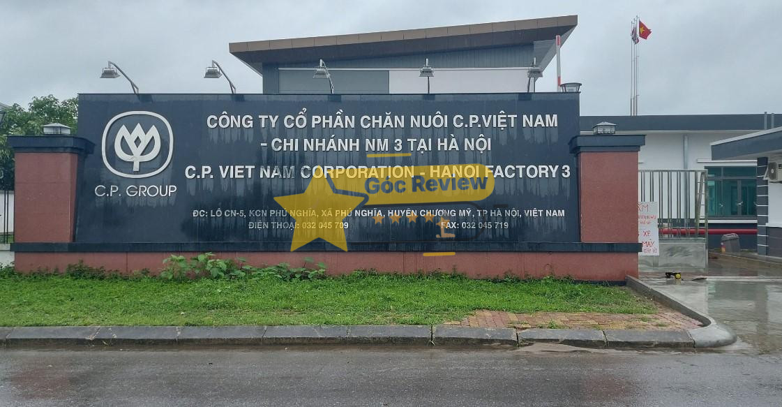 Tổng quan về Tổng Công Ty Chăn Nuôi Việt Nam - CTCP (VLC) Lịch sử và Vị thế