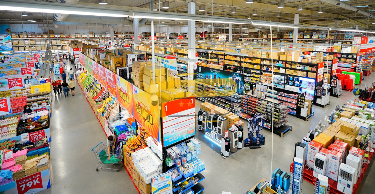 Tổng quan về Công Ty TNHH MM Mega Market Việt Nam