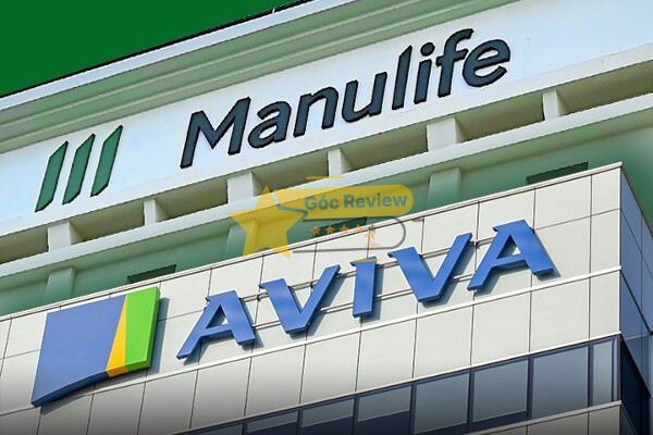 CÔNG TY TNHH BẢO HIỂM NHÂN THỌ MVI