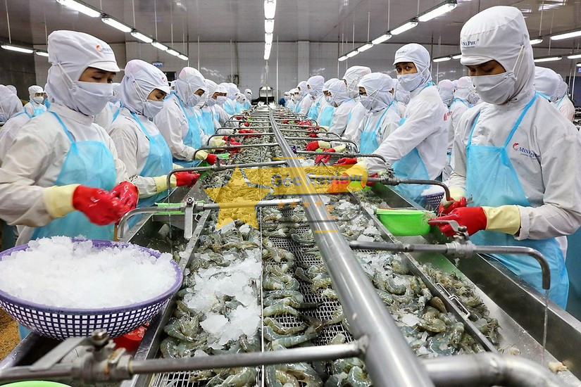 Các sản phẩm chủ lực của VINA CLEANFOOD