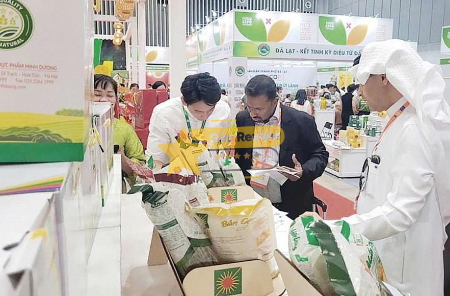 Chất lượng sản phẩm bao bì của Trung Đông có tốt không Đánh giá chi tiết