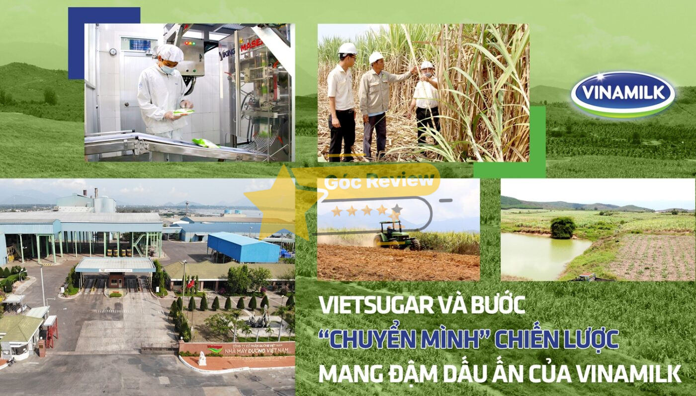 Review CÔNG TY CP ĐƯỜNG VIỆT NAM Có Uy Tín Không? 14 Chất lượng sản phẩm và Quy trình sản xuất đường của Vietsugar