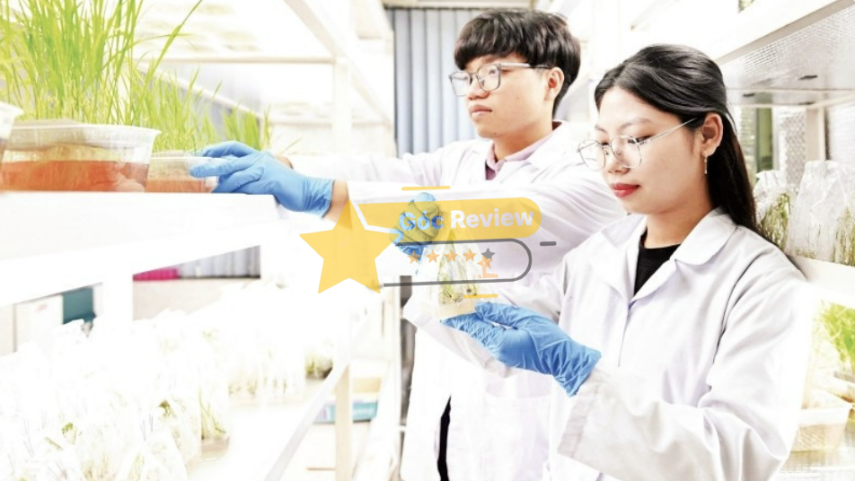 Chất lượng sản phẩm và công nghệ chọn tạo giống của VINASEED