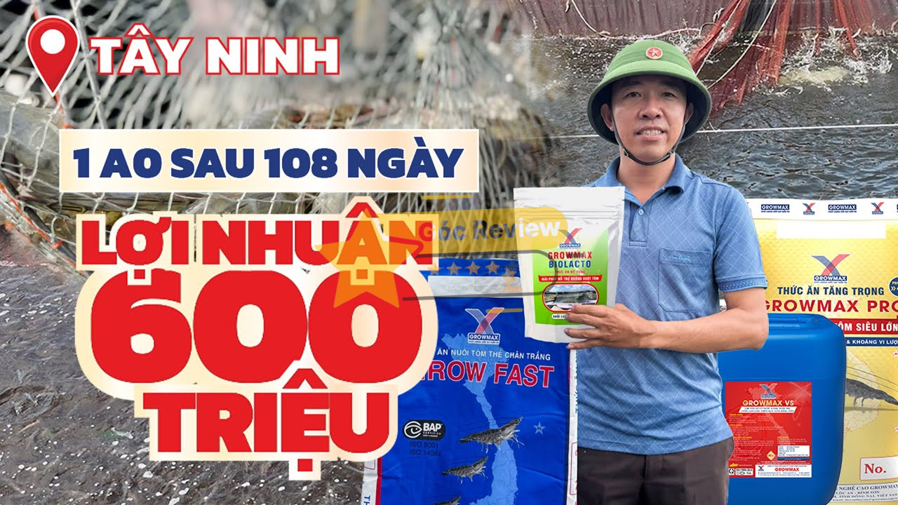 Review CÔNG TY TNHH THỨC ĂN THỦY SẢN GROWMAX Có Uy Tín Không? 13 Chính sách giá và hệ thống phân phối của GROWMAX