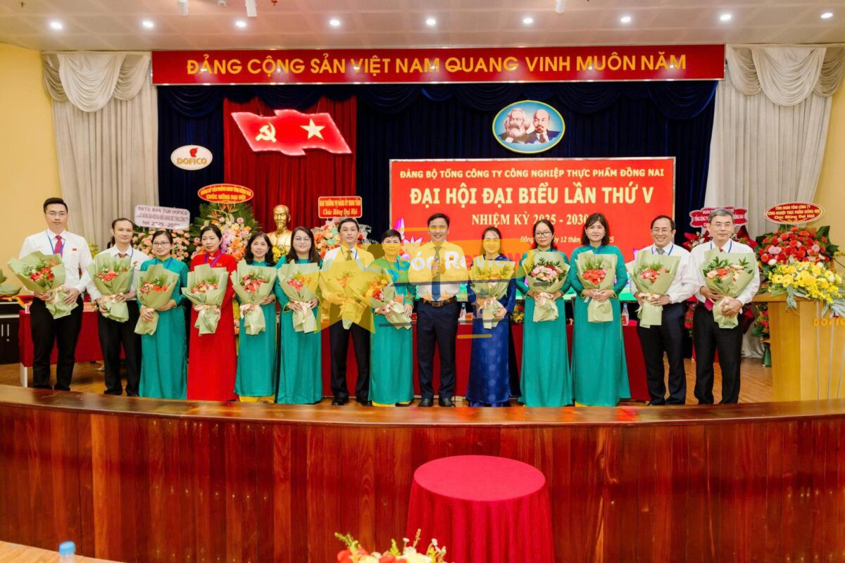 DOFICO có đáng tin cậy không Phân tích ưu và nhược điểm