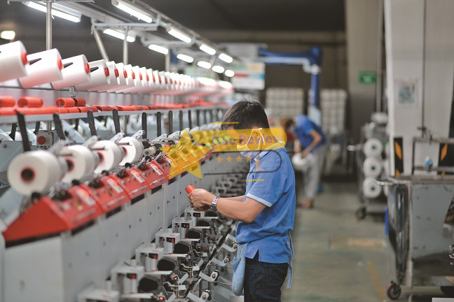 Đánh giá Uy tín và Chất lượng sản phẩm của Tổng Công ty CP Phong Phú