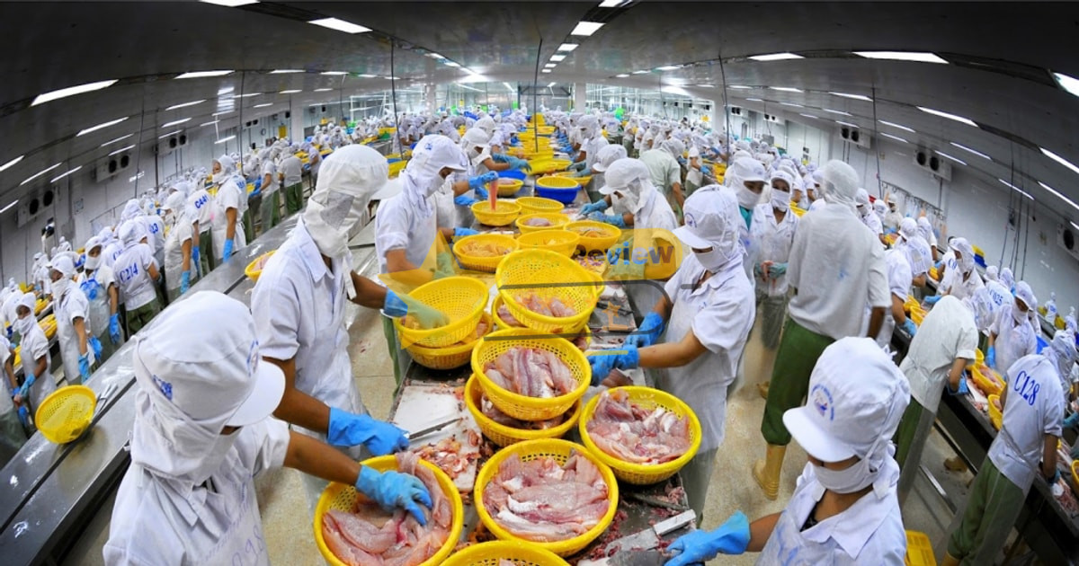 Review CÔNG TY CP THỦY SẢN VÀ THƯƠNG MẠI THUẬN PHƯỚC Có Uy Tín Không? 11 Đánh Giá Chất Lượng Sản Phẩm Thủy Sản Thuận Phước Có Thực Sự Tốt và An Toàn