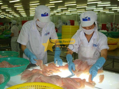 Đánh giá chất lượng thức ăn chăn nuôi Việt Thắng