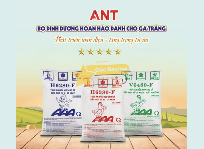 Đánh giá chi tiết sản phẩm và chất lượng của ANT Vietnam