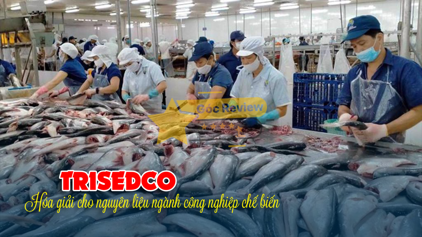 Đánh giá uy tín của CÔNG TY CP ĐẦU TƯ DU LỊCH VÀ PHÁT TRIỂN THỦY SẢN (TRISEDCO)