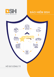 Danh mục sản phẩm và dịch vụ bảo hiểm đa dạng của BSH