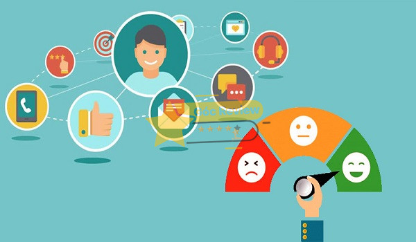 Hiệu quả thực tế và trải nghiệm khách hàng với sản phẩm ANT