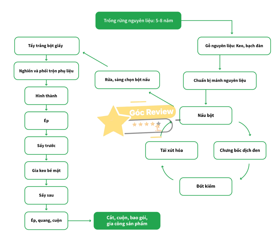 Lịch sử hình thành và phát triển của VINAPACO