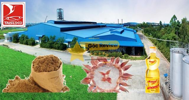 Năng lực cung ứng và thị trường của TRISEDCO