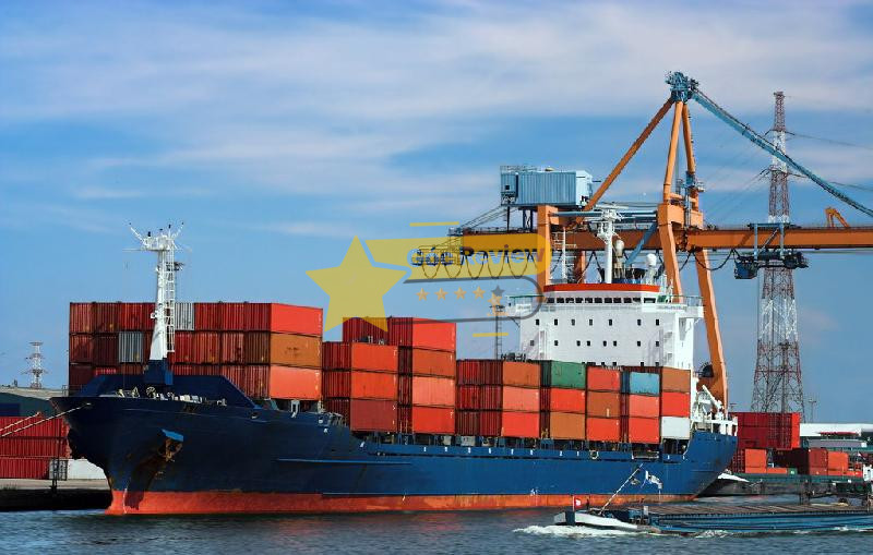 Review CÔNG TY CP VẬN TẢI NHẬT VIỆT Có Uy Tín Không? 14 Phân tích Năng lực và Quy mô của NVTrans Sức mạnh của một ông lớn ngành vận tải biển