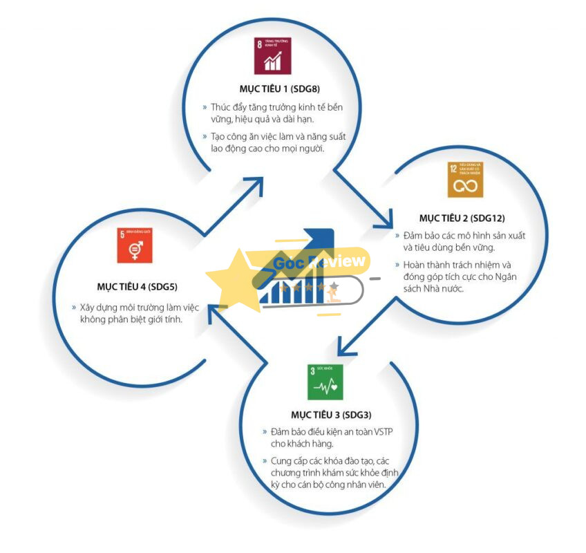 Review CÔNG TY CP DỊCH VỤ HÀNG KHÔNG SÂN BAY TÂN SƠN NHẤT (SASCO) Có Uy Tín Không? 15 Thông tin tài chính và định hướng phát triển của SASCO