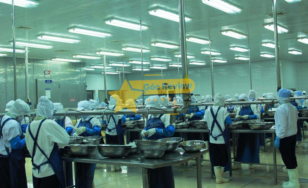 Review CÔNG TY CP THỦY SẢN VÀ THƯƠNG MẠI THUẬN PHƯỚC Có Uy Tín Không? 13 Thuận Phước Có Uy Tín Không Đánh Giá Tổng Quan và Phản Hồi Từ Khách Hàng