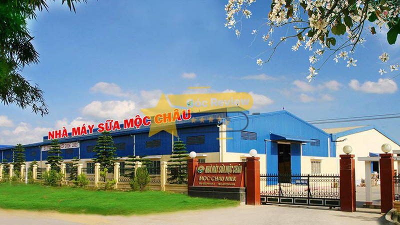 Tổng quan về CÔNG TY CP GIỐNG BÒ SÒA MỘC CHÂU (MOC CHAU COW JSC)