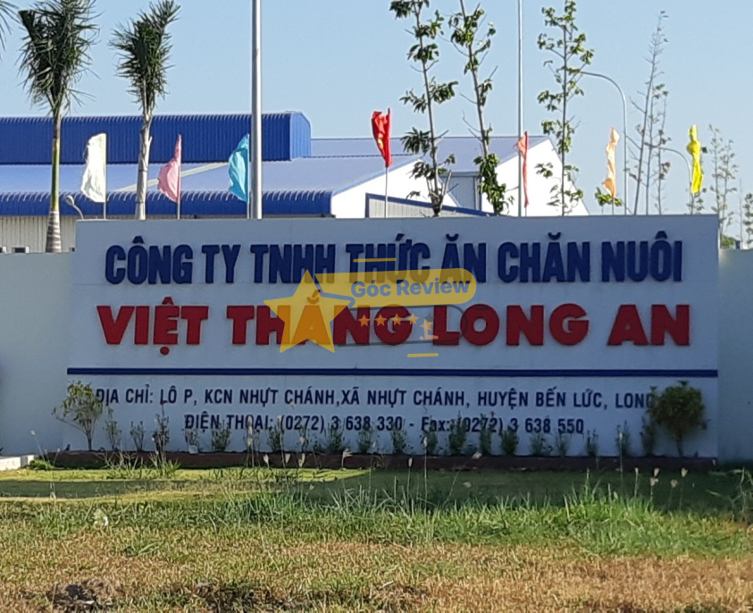 Tổng quan về CÔNG TY CP THỨC ĂN CHĂN NUÔI VIỆT THẮNG