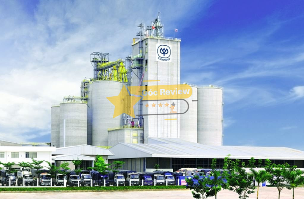 Review CÔNG TY CP THỰC PHẨM AN LONG Có Uy Tín Không? 10 Tổng quan về CÔNG TY CP THỰC PHẨM AN LONG – Doanh nghiệp Việt Nam uy tín trong ngành dầu ăn