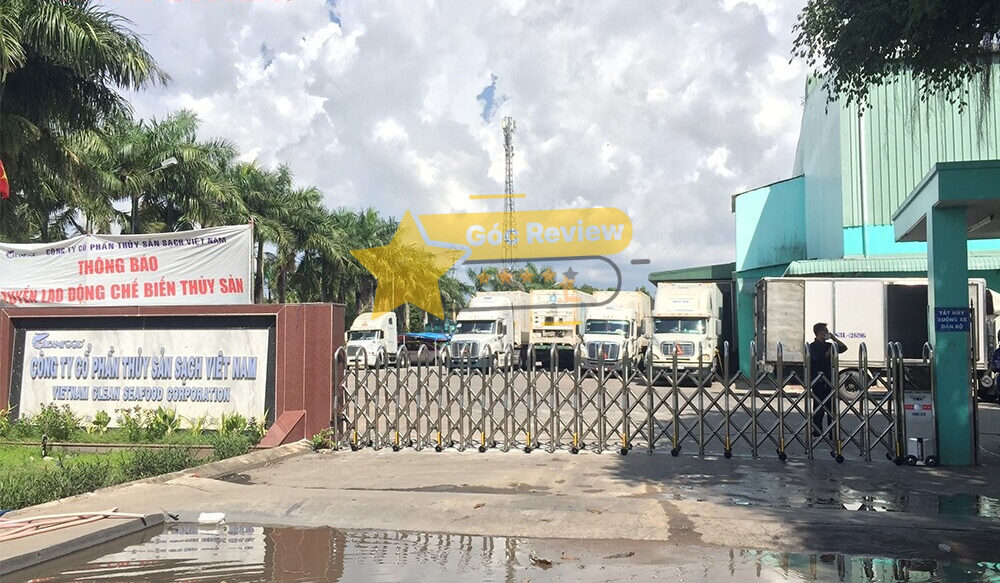 Tổng quan về CÔNG TY CP THỦY SẢN SẠCH VIỆT NAM (VINA CLEANFOOD)