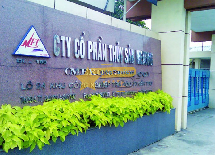 Tổng quan về CÔNG TY TNHH MTV THỨC ĂN THỦY SẢN MEKONG