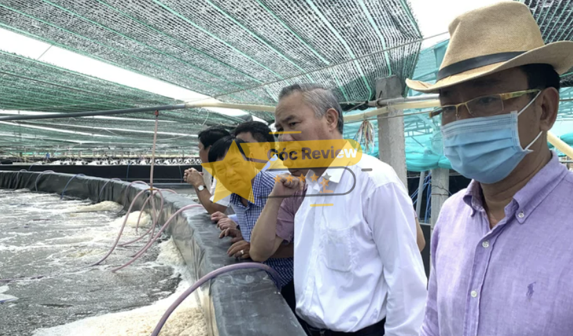 VINA CLEANFOOD có uy tín không Đánh giá vị thế thương hiệu