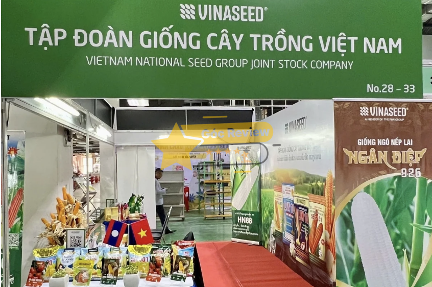 VINASEED có uy tín không Đánh giá chi tiết từ chuyên gia Nguyễn Quốc Anh