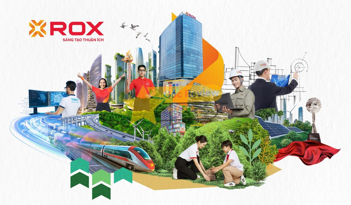 Năng Lực Chuyên Môn Và Lĩnh Vực Hoạt Động Của ROX Cons Việt Nam