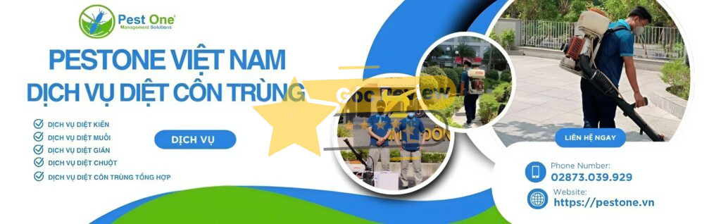 Pest One Việt Nam