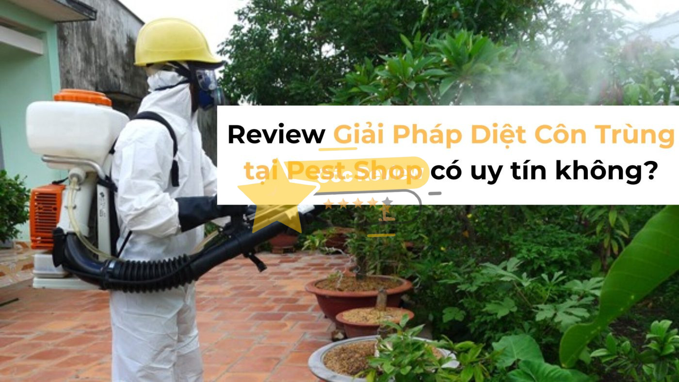 Review Giải Pháp Diệt Côn Trùng tại Pest Shop có uy tín không?