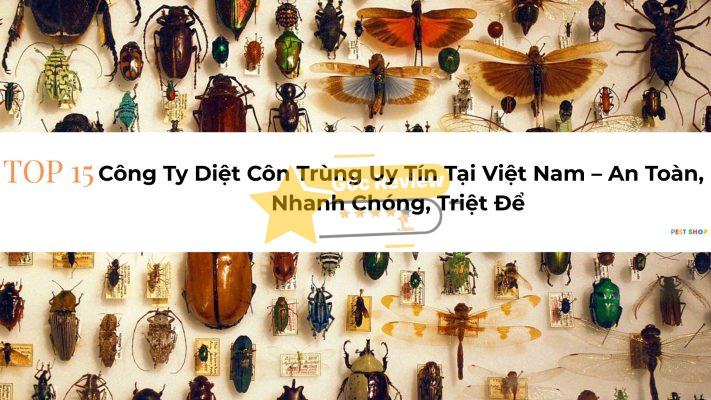 Top 15 Công Ty Diệt Côn Trùng Uy Tín Tại Việt Nam – An Toàn, Nhanh Chóng, Triệt Để